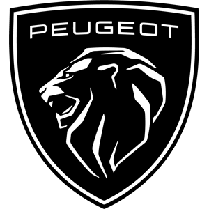 Vendita automobili usate Peugeot